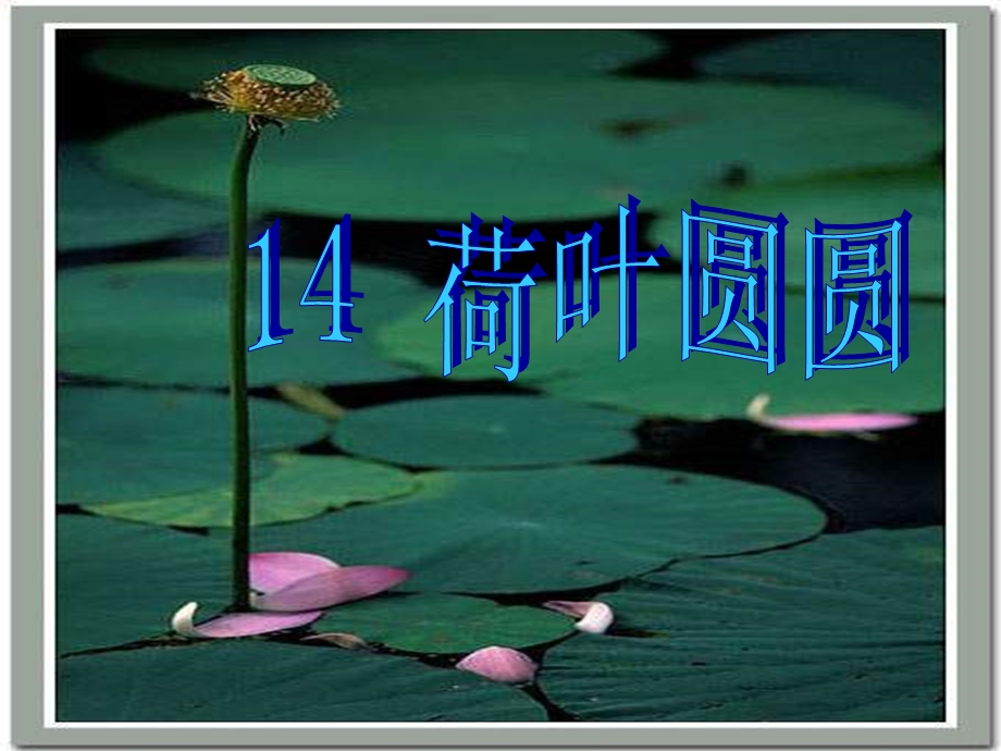 一年级第四单元14《荷叶圆圆》.ppt_第1页