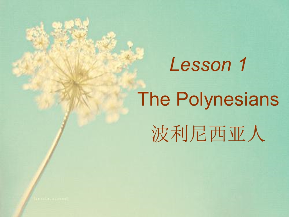 中学生百科英语lesson1.ppt_第2页