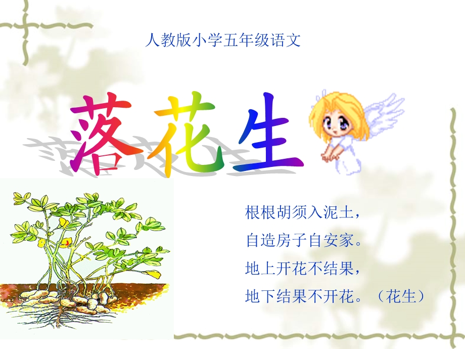 人教版《落花生》教学课件.ppt_第1页