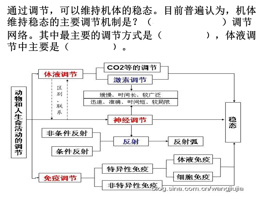 专题复习人和高等动物生命活动的调节.pptx_第1页