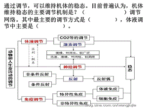 专题复习人和高等动物生命活动的调节.pptx