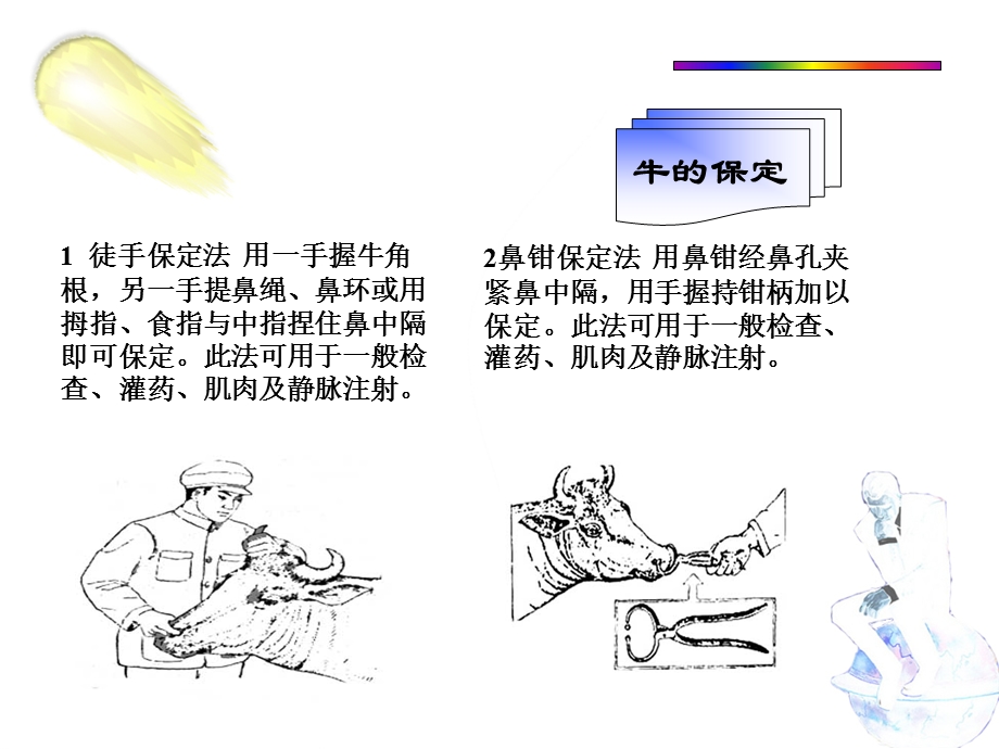 临床检查的基本方法和程序.ppt_第3页