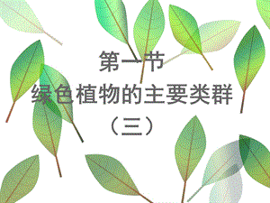 七年级上册绿色植物的主要类群(.ppt