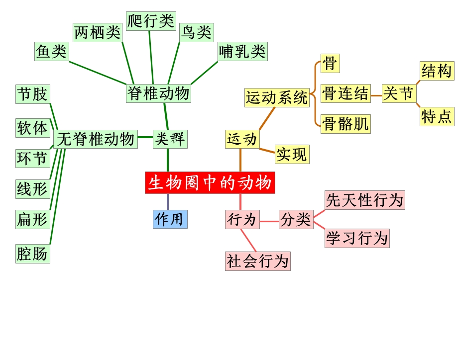 七年级上生物期末动物复习测试.ppt_第1页