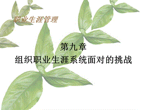 个人职业生涯发展面对的挑战.ppt