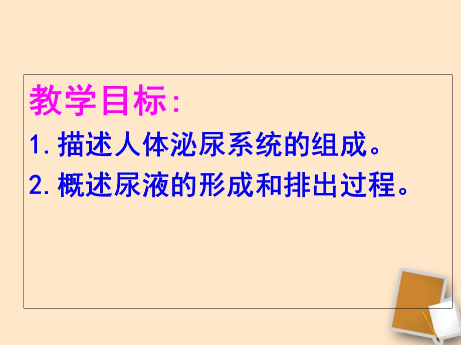 七年级生物下册《第五章人体内废物的排出》课件人教新课标版.ppt_第2页