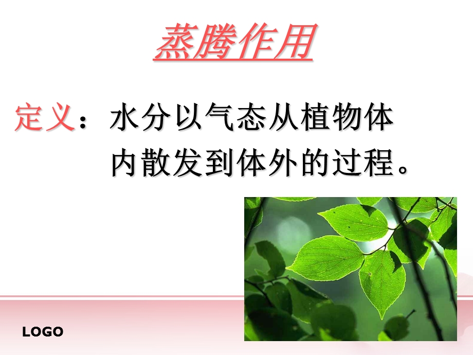 七年级上册绿色植物的蒸腾作用9(gai).ppt_第2页