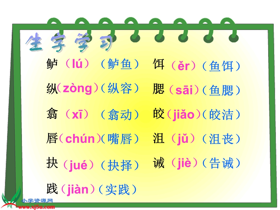 人教新课标五年级语文上册《钓鱼的启示》课件.ppt_第3页