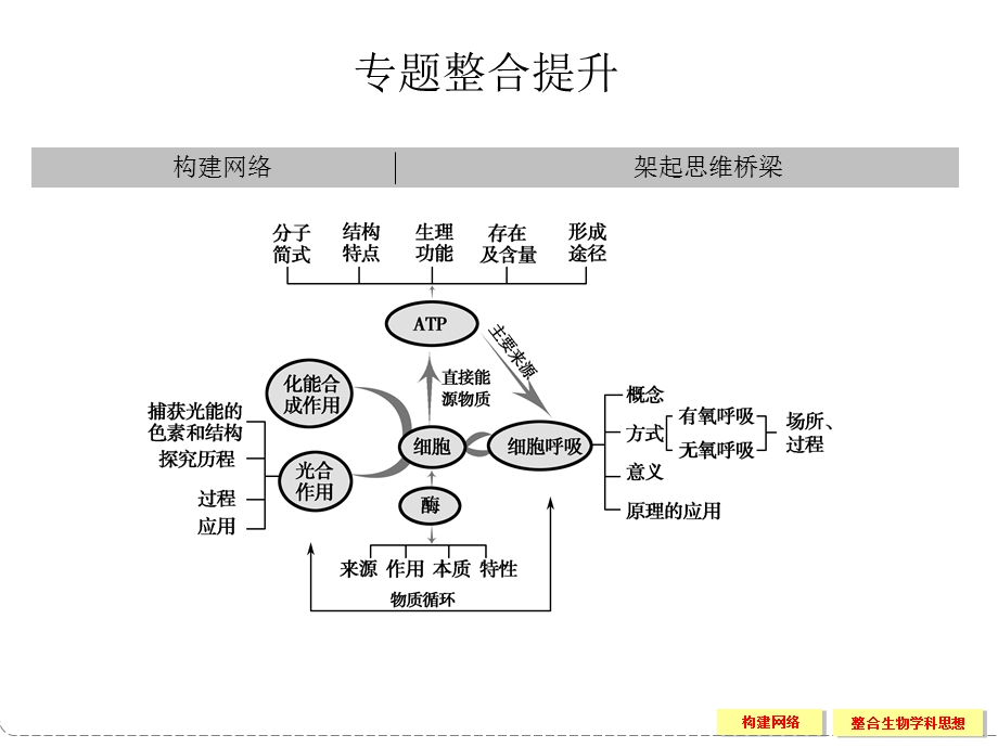 专题二细胞的代谢整合提升.ppt_第1页