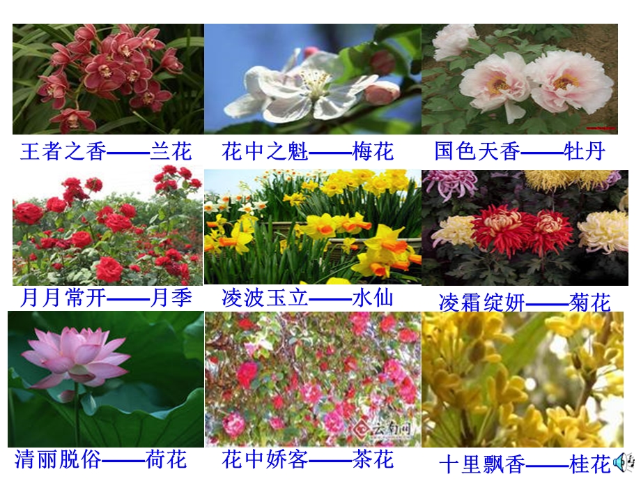 七年级生物上册5.5植物的开花和结果课件苏教版.ppt_第1页