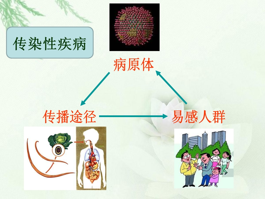 主题班会常见传病染的预防.ppt_第3页