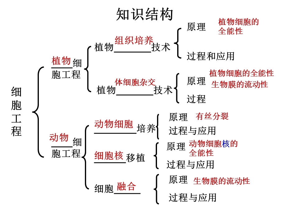 专题二细胞工程复习.ppt_第2页