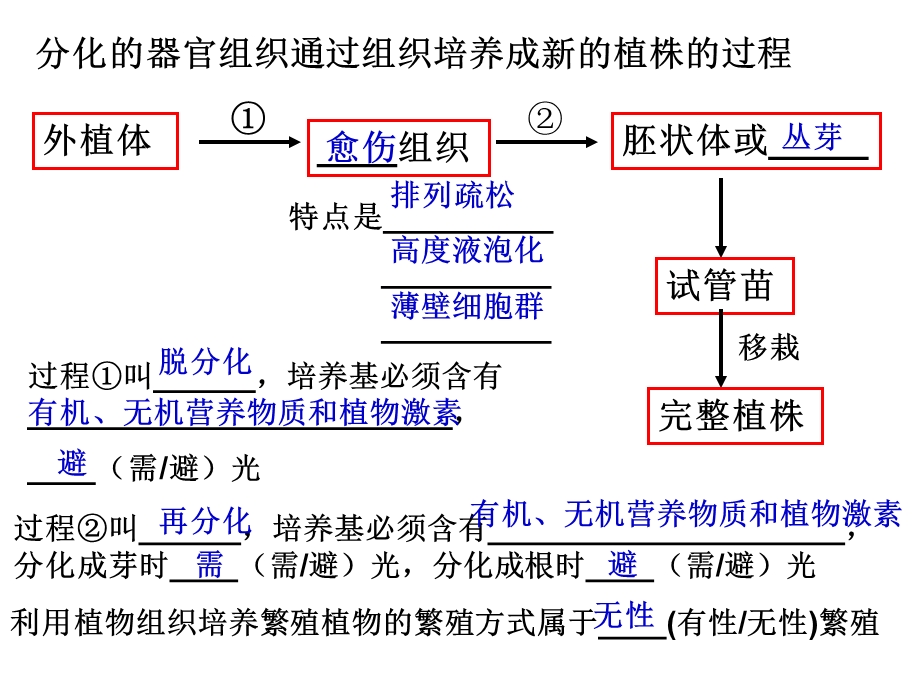 专题二细胞工程复习.ppt_第3页