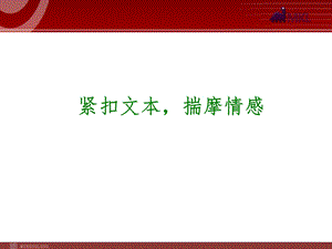 中考语文专题复习PPT课件：紧扣文本揣摩情感.ppt