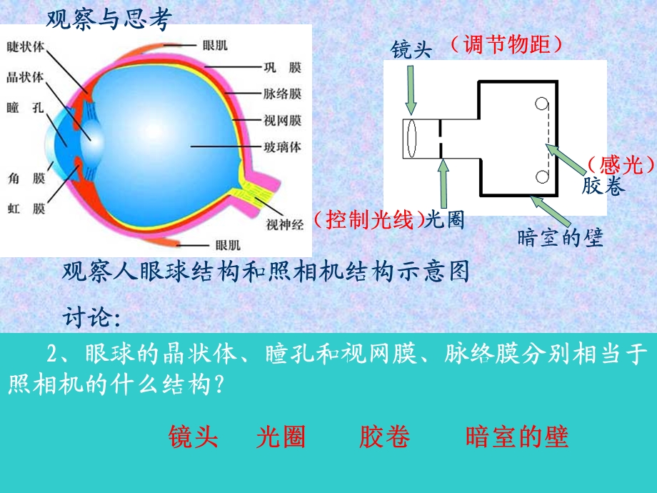 人体对外界环境的感知(复习).ppt_第3页