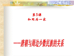 七年级下册“和同为一家”(人教新课标).ppt