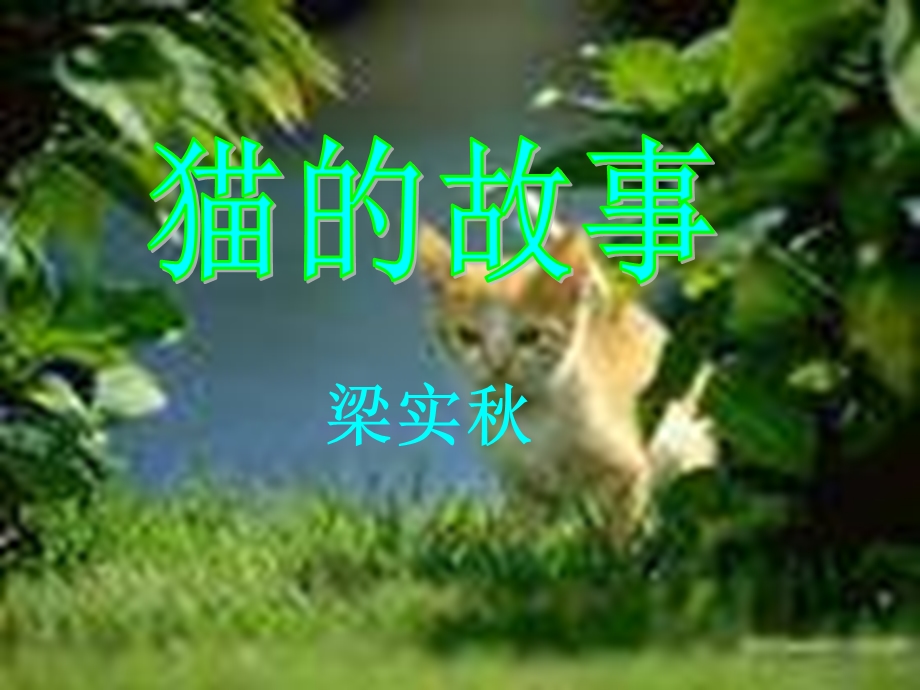 七年级语文猫的故事.ppt_第1页