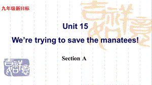 九年级英语unit15SectionA.ppt