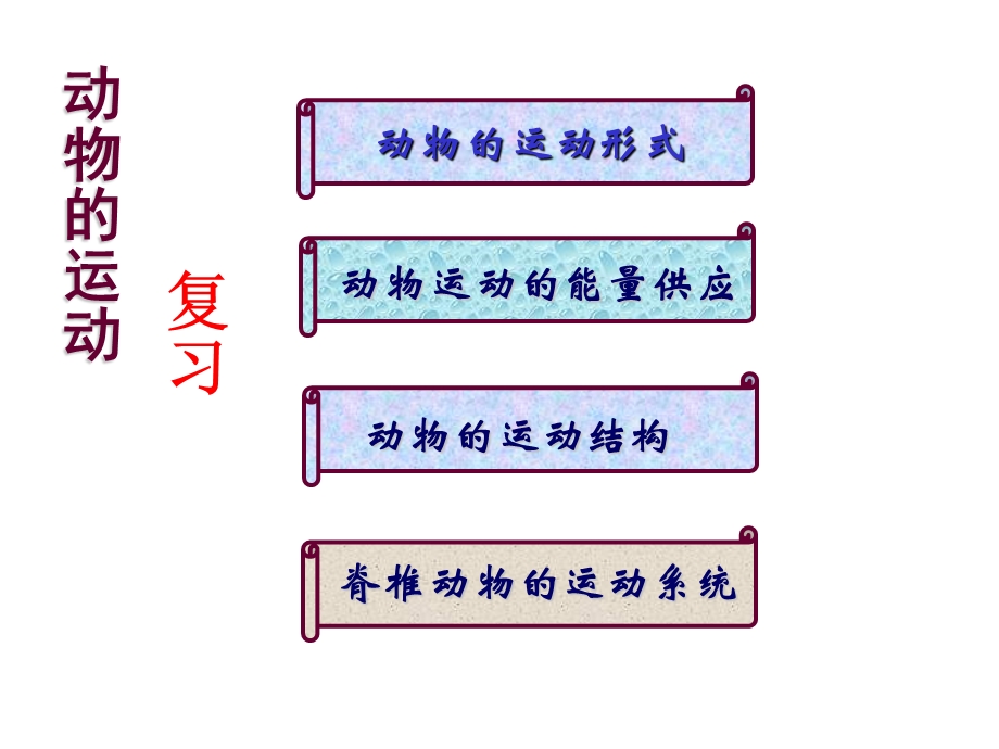 中考生物复习动物的运动共.ppt_第1页