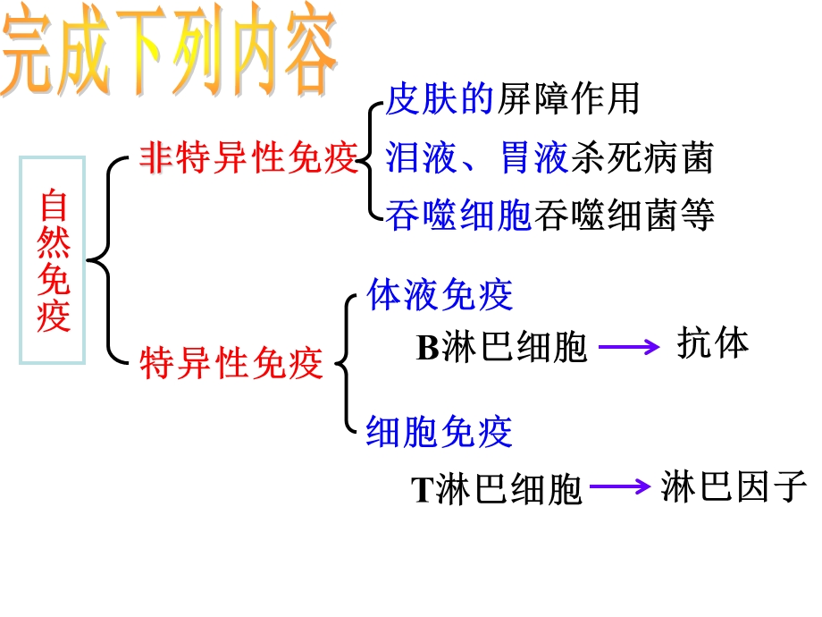 九年级科学身体的防卫.ppt_第3页