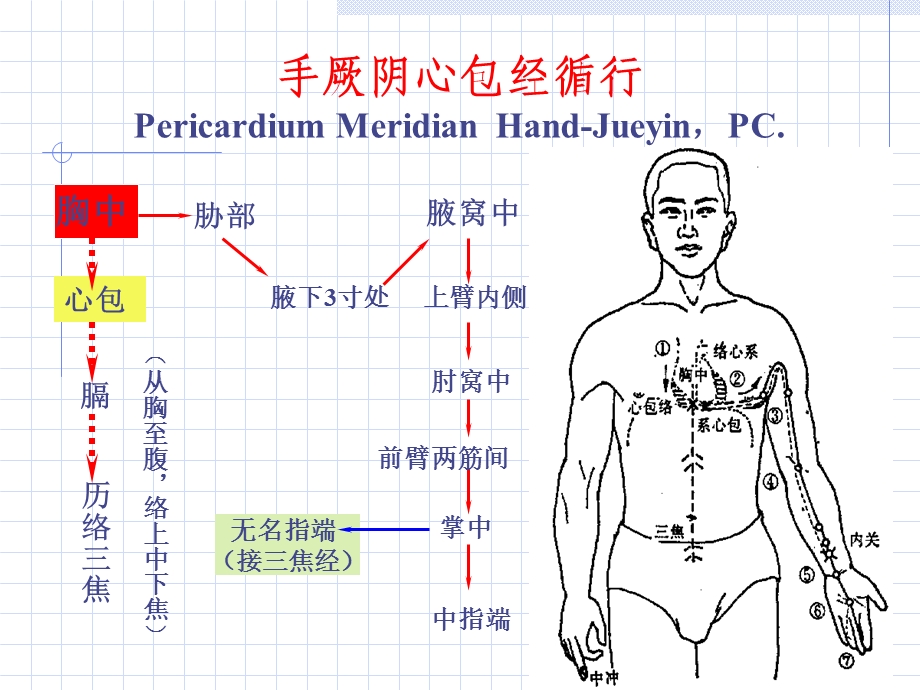 人体经络穴位图谱9心包.ppt_第2页