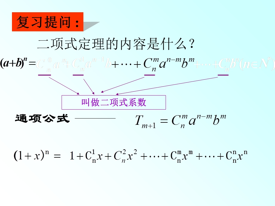 二项式定理及二项式系数的性质应用.ppt_第2页