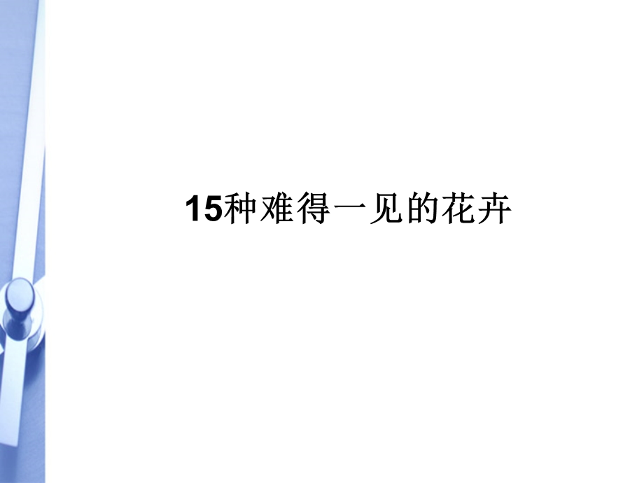 七年级生物上册15种难得一见的花图片1课件人教新课标版.ppt_第1页