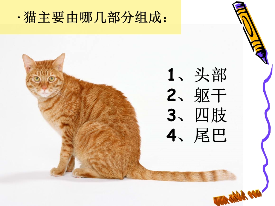 二年级美术课件可爱的猫咪.ppt_第3页