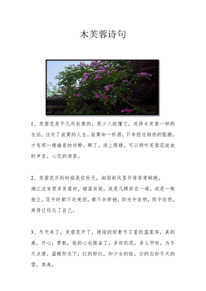 木芙蓉诗句.docx