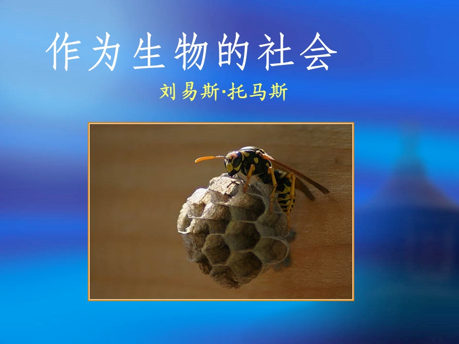 作为生物的社会(新人教版必修5).ppt_第1页