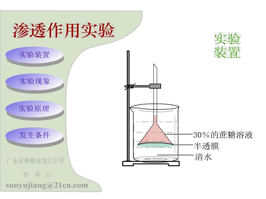 人教版教学课件细胞的物质输入与输出复习课件.ppt_第3页