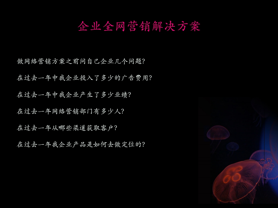 企业全网营销解决方案.ppt_第2页