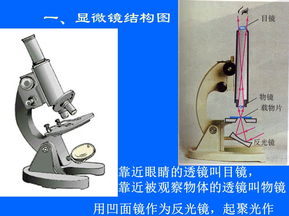 人教版八年级物理第三章第5节：望远近与显微镜.ppt_第2页