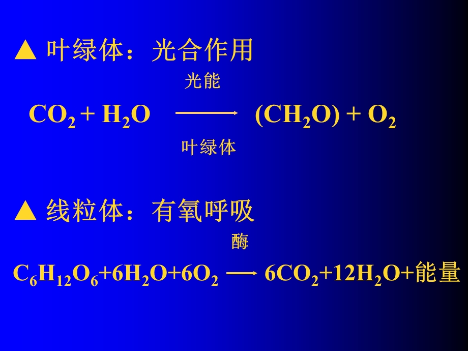 人教版教学课件云南省弥勒县庆来中学2011-2012学年高一生物光合作用的实验(课件).ppt_第2页