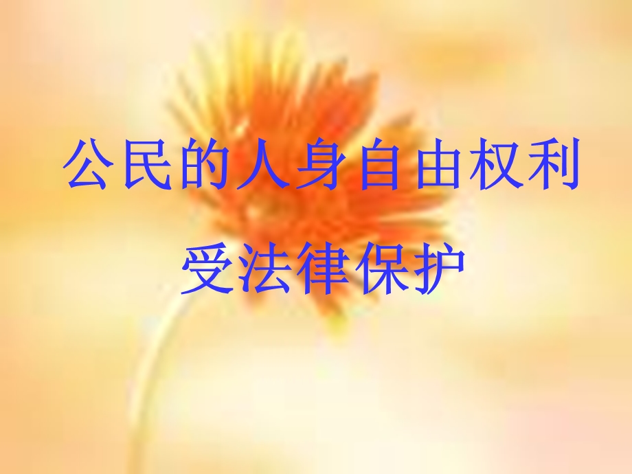 公民的人身自由权利.ppt_第1页