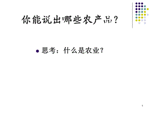 农业的区位选择PPT.ppt