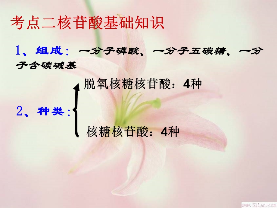 人教版教学课件2012高一生物：核酸、糖类和脂质.ppt_第3页