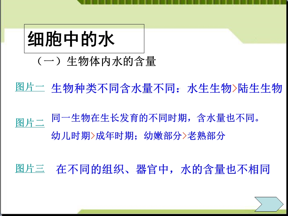 人教版教学课件山东省冠县一中高一生物必修一《25细胞中的无机物》.ppt_第3页