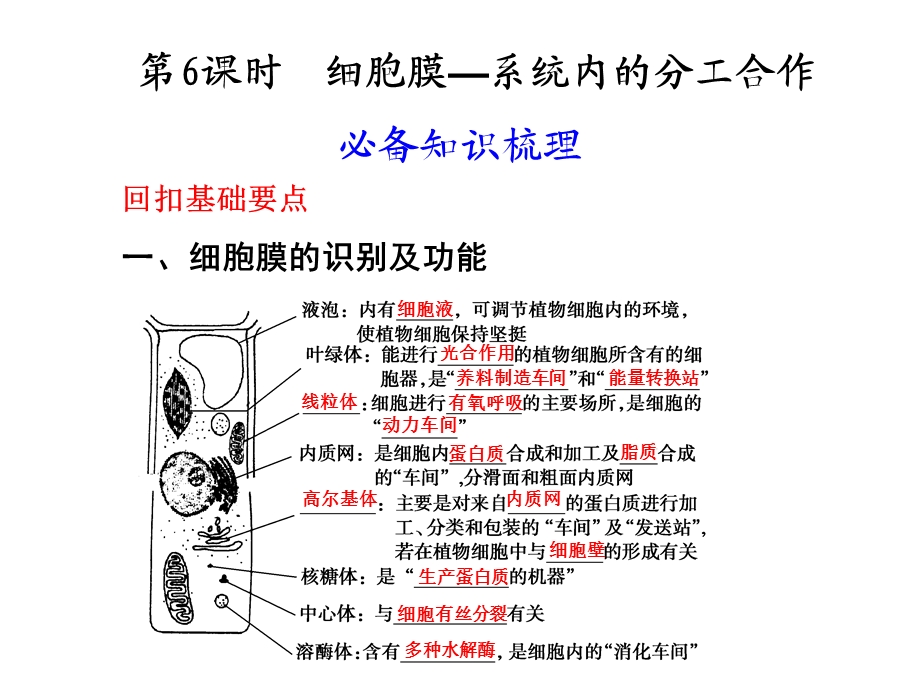 人教版教学课件第3章细胞的基本结构第2节细胞器──系统内的分工合作第二单元6课时.ppt_第1页