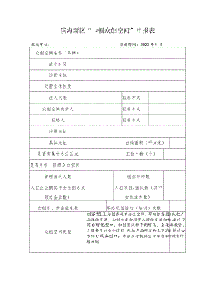 滨海新区“巾帼众创空间”申报表.docx