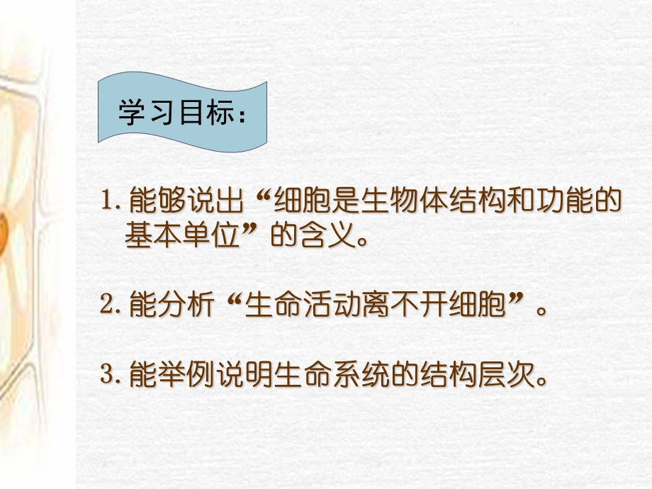 人教版教学课件从生物圈到细胞课件上课用.ppt_第2页