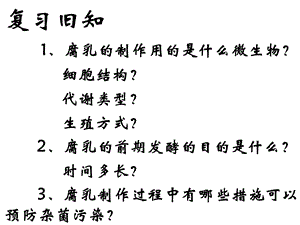 人教版教学课件生物人教版选修1泡菜的制作.ppt