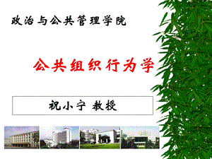 公共组织与组织行为学.ppt