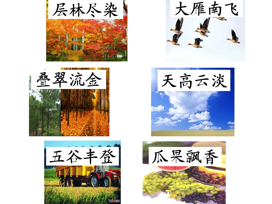 人教版小学语文二年级上册 识字.ppt_第3页