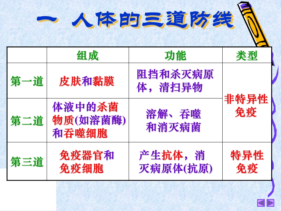 人教版教学课件免疫调节应用课件.ppt_第3页