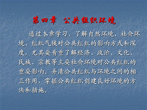 公共组织环境(讲课版).ppt