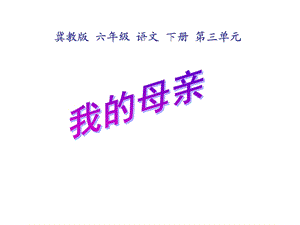 六年级语文我的母亲.ppt