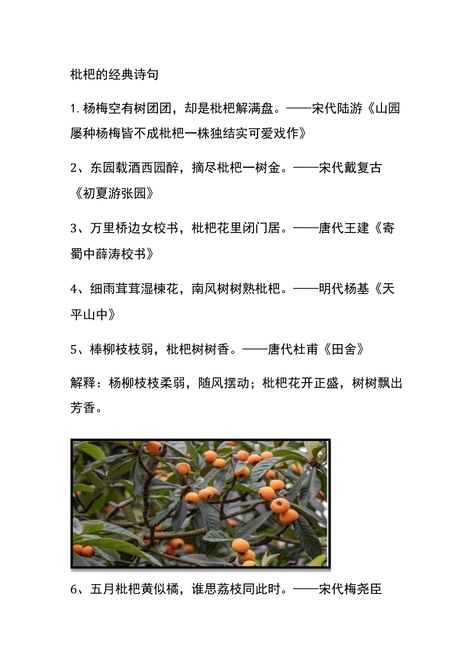 枇杷的经典诗句.docx_第1页