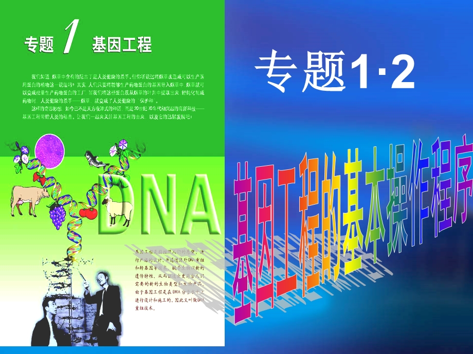 人教版教学课件福建省三明市泰宁一中生物选修三12《基因工程的基本操作程序》.ppt_第1页