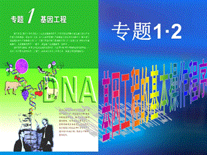 人教版教学课件福建省三明市泰宁一中生物选修三12《基因工程的基本操作程序》.ppt